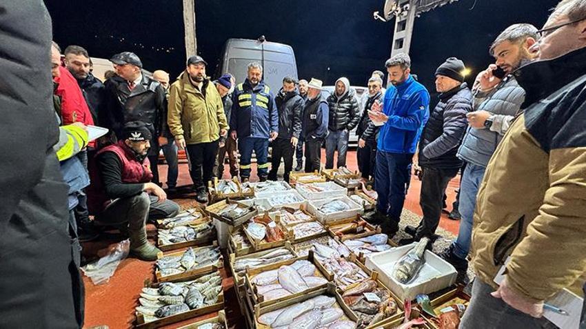 Marmara Bölgesi'ndeki balık mezatlarında en yoğun rekabet hamside yaşandı