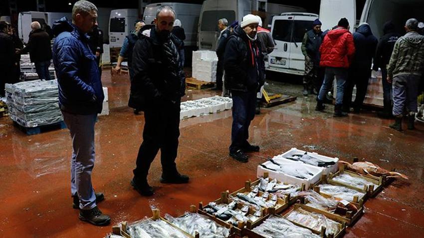 Marmara Bölgesi'ndeki balık mezatlarında en yoğun rekabet hamside yaşandı