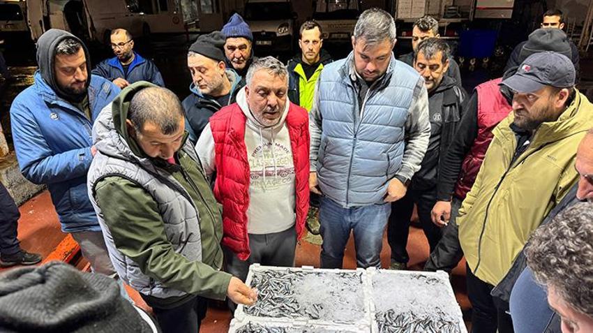 Marmara Bölgesi'ndeki balık mezatlarında en yoğun rekabet hamside yaşandı