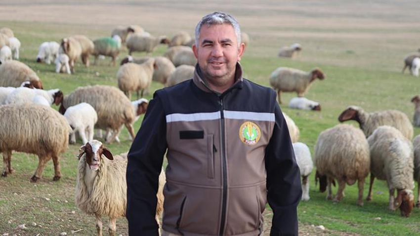 Dünyanın en büyüğü Şanlıurfa'da: 60 bin yeni kuzu dünyaya geldi!
