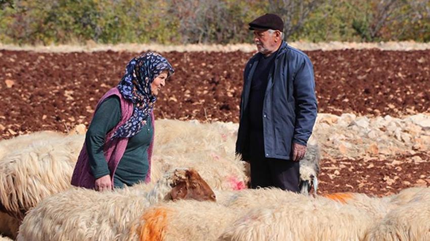 Gaziantep'te karı koca 63 yaşından sonra başladı! Her gün aynı şeyi yapıp 2 katına çıkardılar