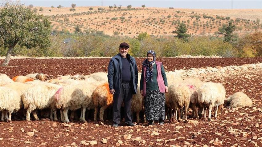Gaziantep'te karı koca 63 yaşından sonra başladı! Her gün aynı şeyi yapıp 2 katına çıkardılar
