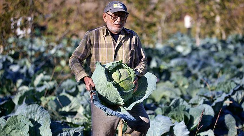 Osmaniyeli vatandaş emekli oldu, dededen kalma ata tohumları ile hobi olarak başladı, şimdi gelir kapısı oldu!