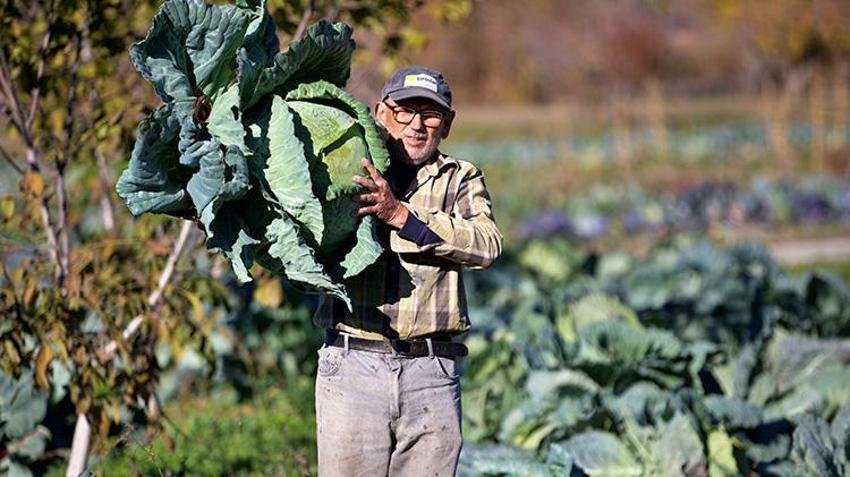 Osmaniyeli vatandaş emekli oldu, dededen kalma ata tohumları ile hobi olarak başladı, şimdi gelir kapısı oldu!