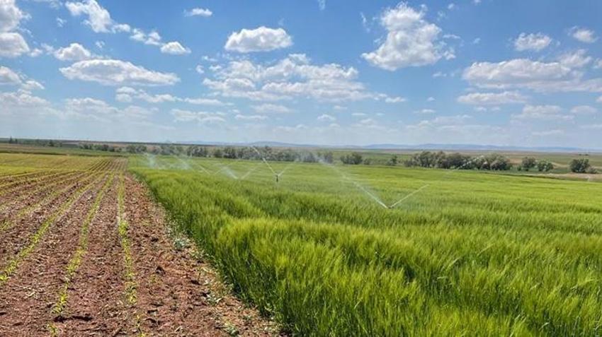 Konya'da 10 bin çiftçiyi ilgilendiren karar! 739 bin avroluk dev proje hayata geçiyor: Su kayıplarına son verilecek