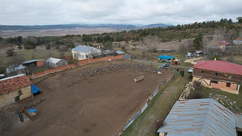 İstanbul'u terk edip memleketi Kastamonu'ya yerleşti! 130 hayvanla başladı, 5 yılda kendi işinin patronu oldu