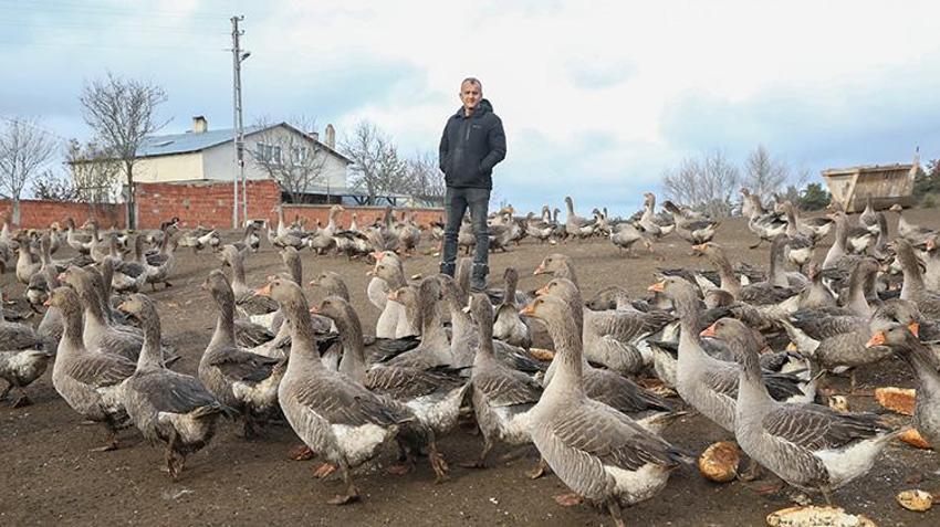 İstanbul'u terk edip memleketi Kastamonu'ya yerleşti! 130 hayvanla başladı, 5 yılda kendi işinin patronu oldu