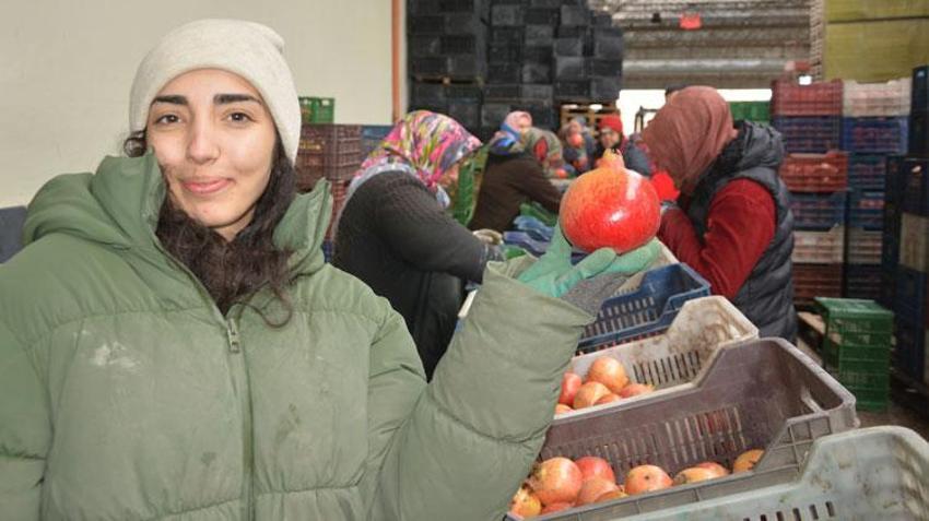 Antalya Korkuteli'nden Almanya, Ukrayna ve Rusya'ya nar ihracatı başladı