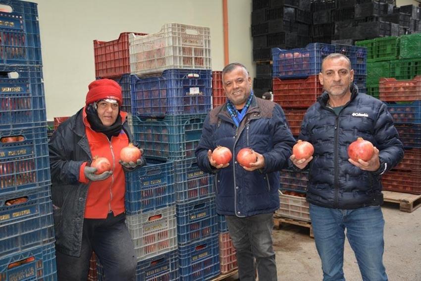 Antalya Korkuteli'nden Almanya, Ukrayna ve Rusya'ya nar ihracatı başladı