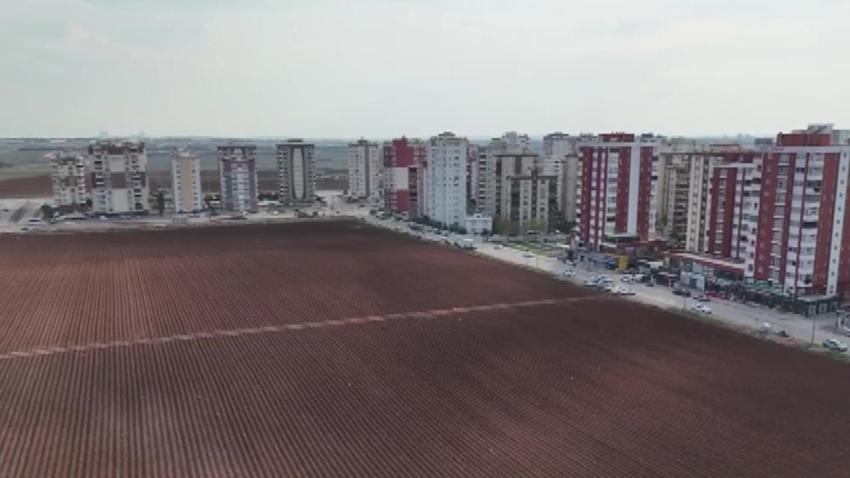 Adana'da herkese hava hoş! Apartmanlar arasına ekti, komşular şaşırdı