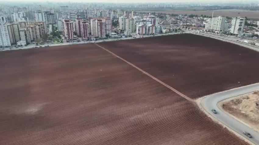 Adana'da herkese hava hoş! Apartmanlar arasına ekti, komşular şaşırdı