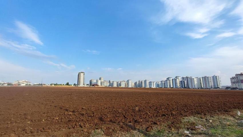 Adana'da herkese hava hoş! Apartmanlar arasına ekti, komşular şaşırdı