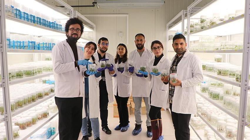 Çukurova Üniversitesi'nden örnek proje! Tarım arazileri uzak kalınca terasa sera kuruldu