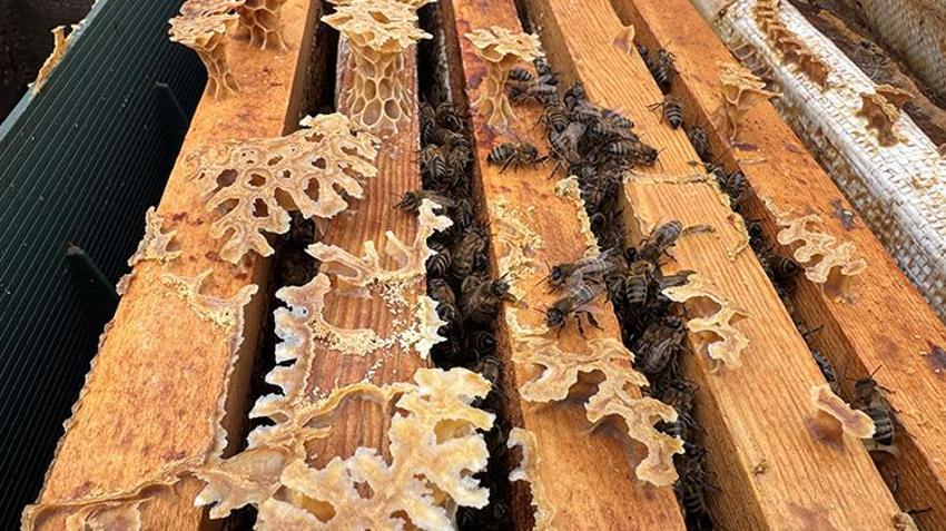 Önce anneye sonra da kızlarına 'yapamazsınız' dediler! 35 yıllık meslek aşkını kızlarına aşıladı