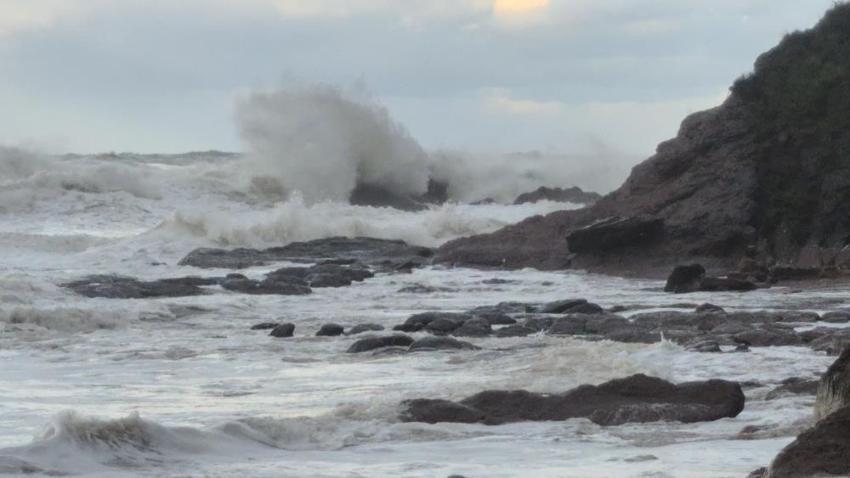 Karadeniz'de bu metreye ilk kez çıkıldı! Bartın sahilinde korkutan görüntü