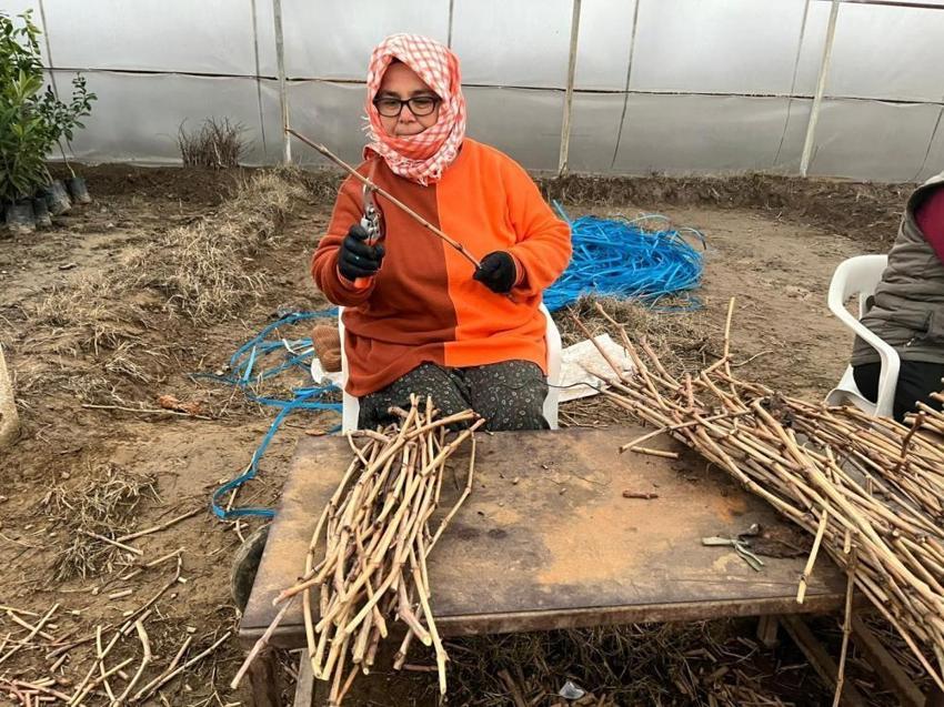 2 mühendis kardeş 700 bin adet üretip rekor kırdı! Binlerce işçi istihdam ettiler: Manisa'dan 3 bölgeye satılıyor