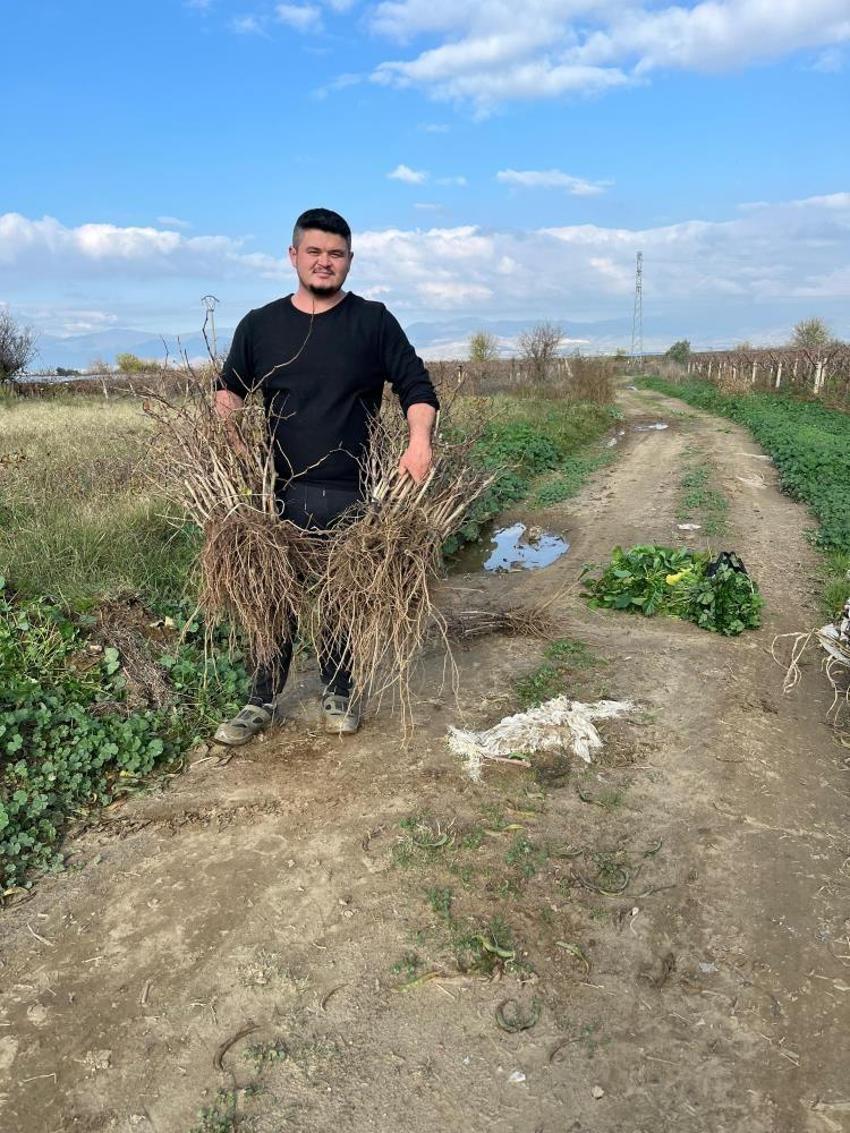 2 mühendis kardeş 700 bin adet üretip rekor kırdı! Binlerce işçi istihdam ettiler: Manisa'dan 3 bölgeye satılıyor
