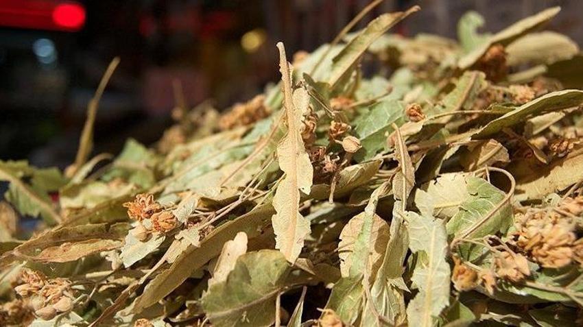 Gaziantepliler kapış kapış alıyor! 10 bitkinin karışımıyla yapılıyor: Öksürüğü bıçak gibi kesiyor