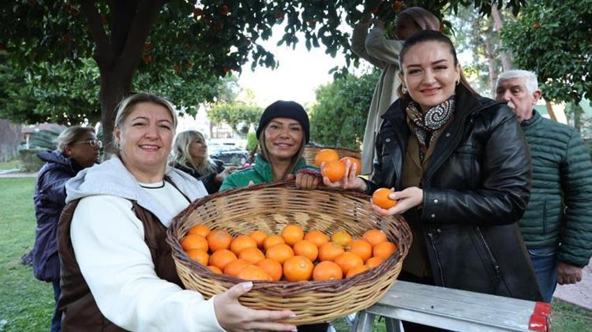 İpe diziliyor, günlerce bekletiliyor! Kadınların elinde altına dönüşüyor