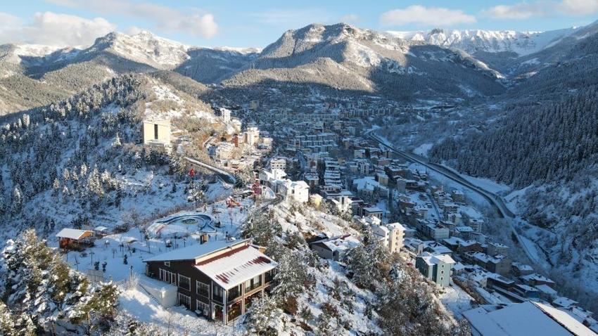Artvin'de bu yolla ilk kez görüldü! Sakin şehir için uyarı geldi