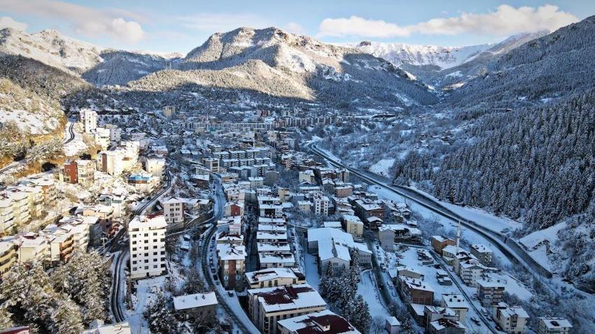 Artvin'de bu yolla ilk kez görüldü! Sakin şehir için uyarı geldi