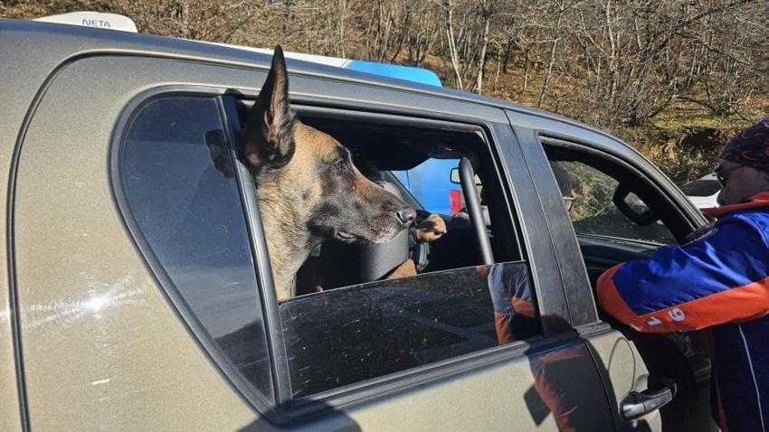 Kayıp Elif Kumal için korkunç ihtimal! Balıkesir'de köylüler haberi verdi