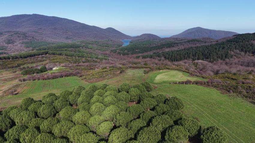 Kayıp Elif Kumal için korkunç ihtimal! Balıkesir'de köylüler haberi verdi