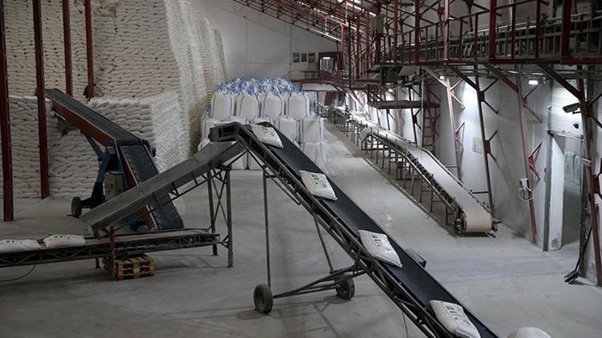 Türkiye’de bir ilk! Kayseri'de deneme ekimi sonuç verdi: Üreten çiftçi 2 kat para kazanacak