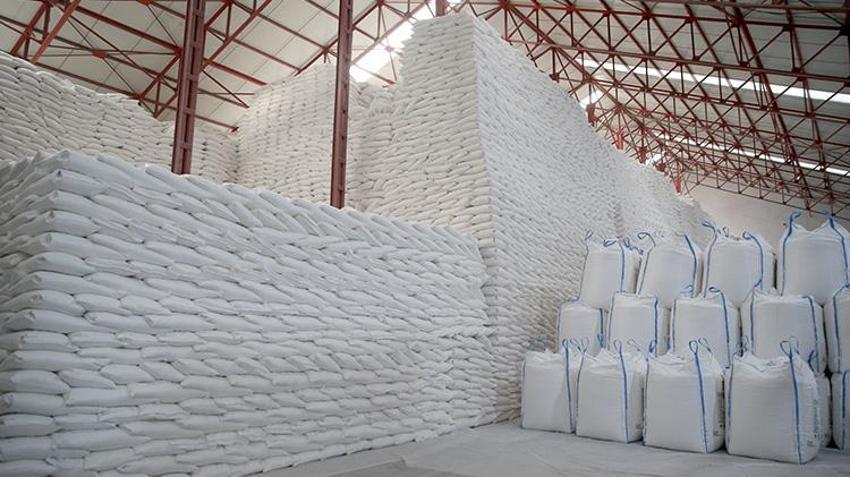 Türkiye’de bir ilk! Kayseri'de deneme ekimi sonuç verdi: Üreten çiftçi 2 kat para kazanacak