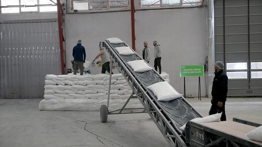 Türkiye’de bir ilk! Kayseri'de deneme ekimi sonuç verdi: Üreten çiftçi 2 kat para kazanacak