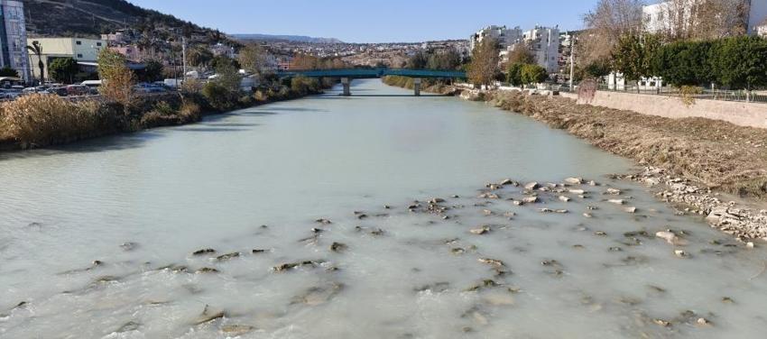 Mersin'de 3 yıl öncesi akıllara geldi: Göksu Nehri'nde görüldü