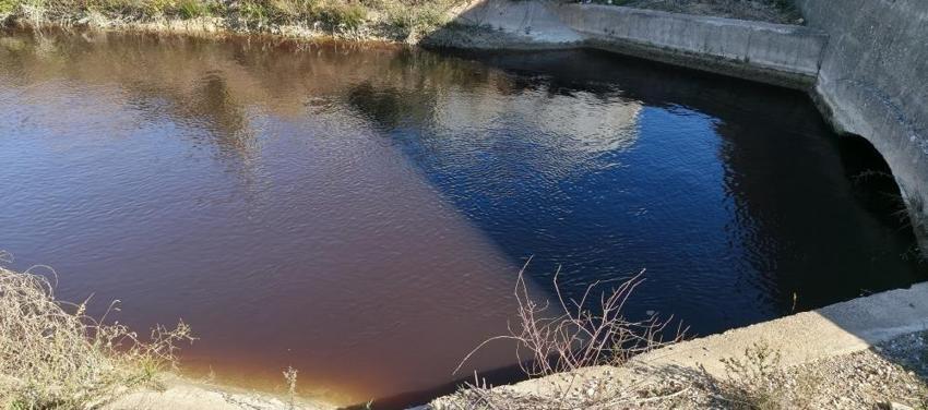 Mersin'de 3 yıl öncesi akıllara geldi: Göksu Nehri'nde görüldü