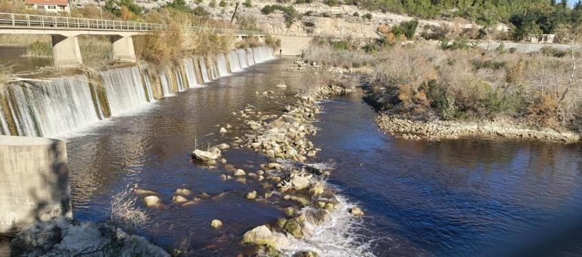 Mersin'de 3 yıl öncesi akıllara geldi: Göksu Nehri'nde görüldü