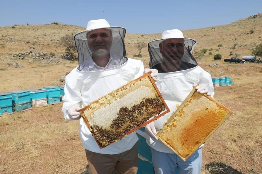 Coğrafi işaret tescili tamam! Dünya pazarına açılıyor