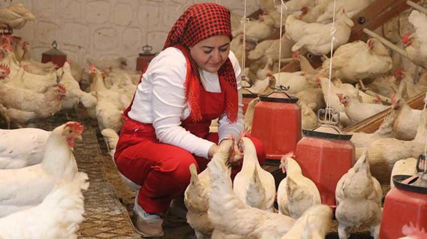 Kayserili karı kocayı akrabaları durduramadı: 'Nasıl istifa edersiniz?'