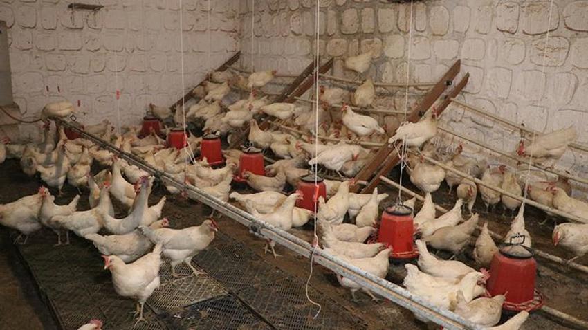Kayserili karı kocayı akrabaları durduramadı: 'Nasıl istifa edersiniz?'
