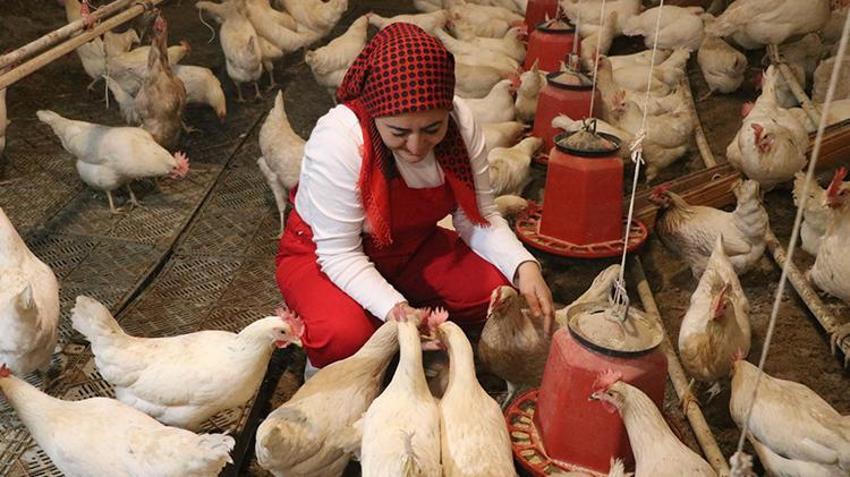 Kayserili karı kocayı akrabaları durduramadı: 'Nasıl istifa edersiniz?'