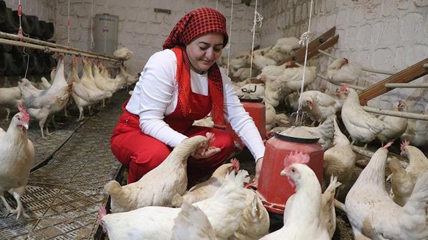 Kayserili karı kocayı akrabaları durduramadı: 'Nasıl istifa edersiniz?'