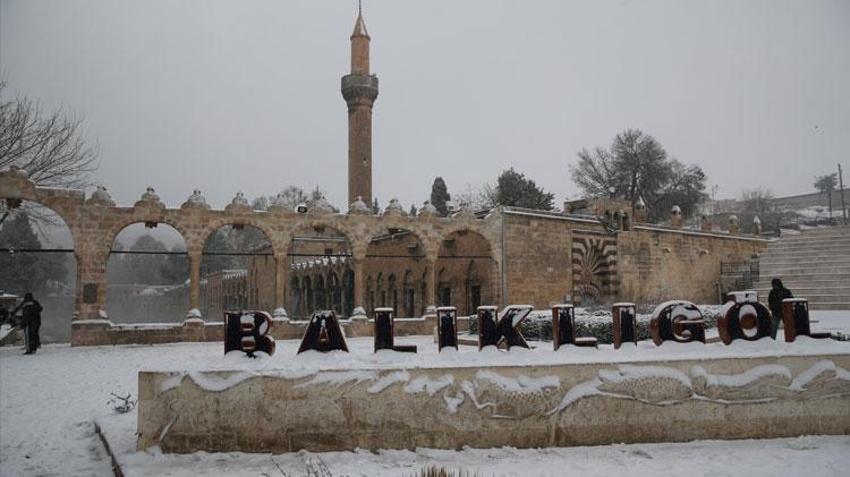 Şanlıurfa'da 58 yıl sonra bir ilk yaşandı! En son 1968 yılında görülmüştü