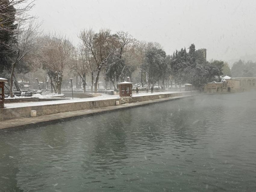 Şanlıurfa'da 58 yıl sonra bir ilk yaşandı! En son 1968 yılında görülmüştü