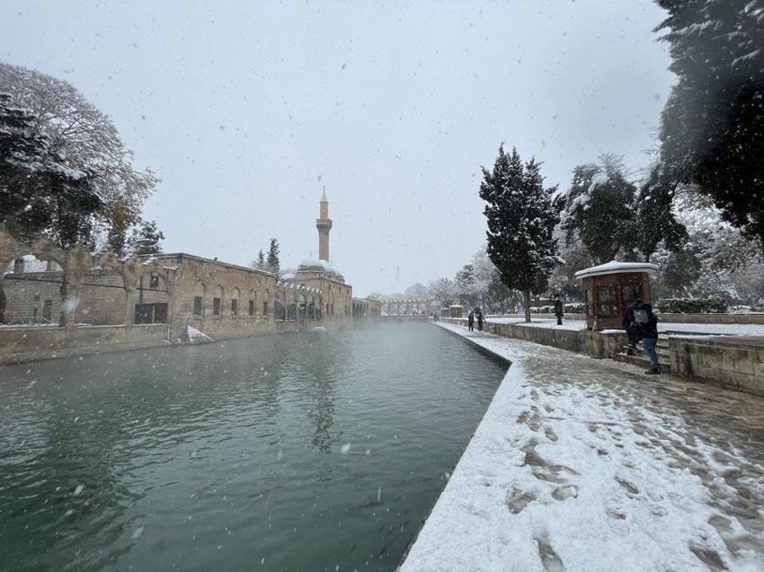 Şanlıurfa'da 58 yıl sonra bir ilk yaşandı! En son 1968 yılında görülmüştü