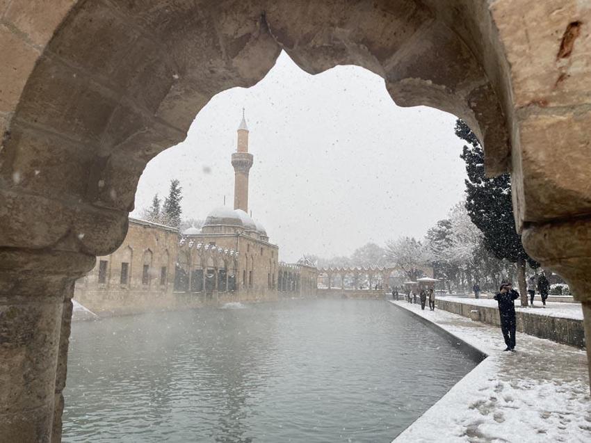 Şanlıurfa'da 58 yıl sonra bir ilk yaşandı! En son 1968 yılında görülmüştü