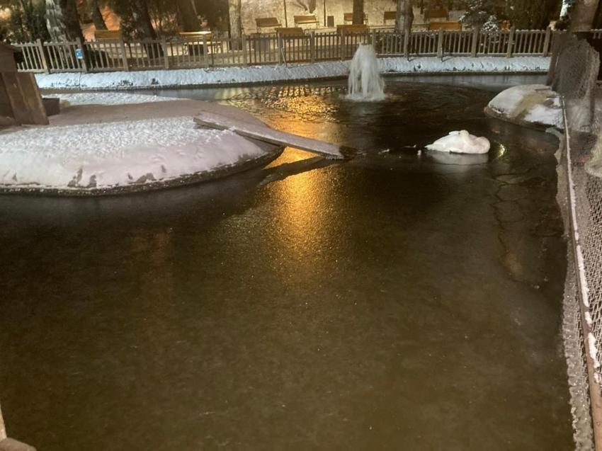 Ankara eksi 11 derece ile buz kesti! Kuğulu Park dondu