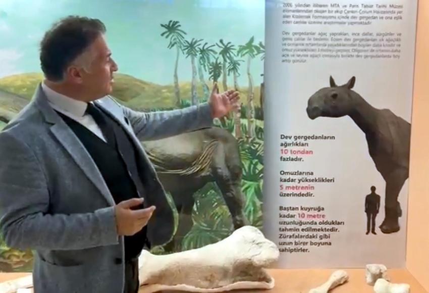 Iğdır'ın köyünde keşfedildi! Dünyada böylesi yok, 10 metre uzunluğunda, 5 metre yüksekliğinde