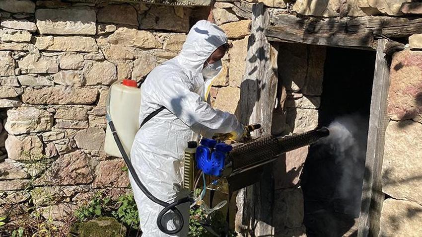 Giresun'da Kahverengi kokarcaya karşı 'topyekün' mücadele sonuç verdi: 90 bin Samuray arısı sahada! 70 bin kışlak ilaçlandı, 25 bin çiftçi eğitildi