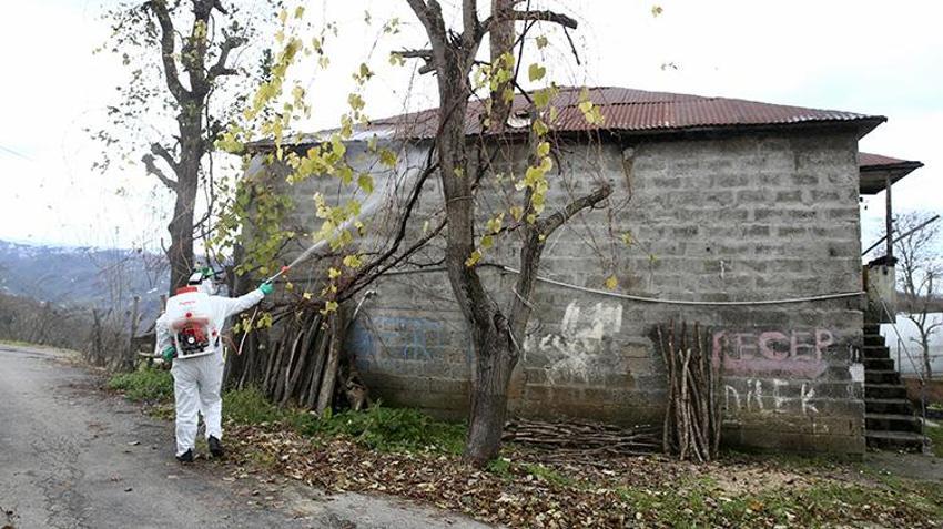 Giresun'da Kahverengi kokarcaya karşı 'topyekün' mücadele sonuç verdi: 90 bin Samuray arısı sahada! 70 bin kışlak ilaçlandı, 25 bin çiftçi eğitildi