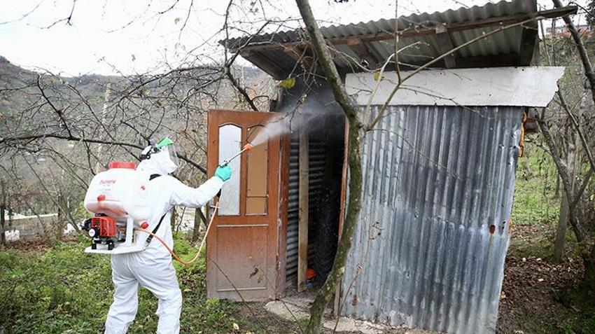 Giresun'da Kahverengi kokarcaya karşı 'topyekün' mücadele sonuç verdi: 90 bin Samuray arısı sahada! 70 bin kışlak ilaçlandı, 25 bin çiftçi eğitildi