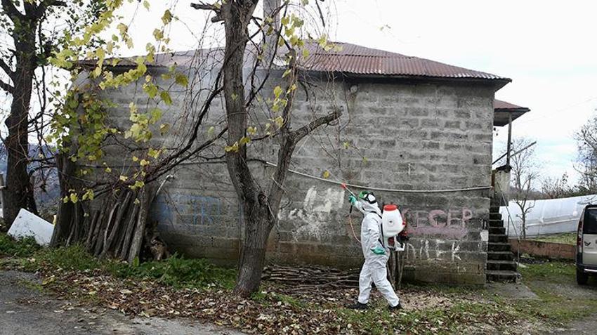 Giresun'da Kahverengi kokarcaya karşı 'topyekün' mücadele sonuç verdi: 90 bin Samuray arısı sahada! 70 bin kışlak ilaçlandı, 25 bin çiftçi eğitildi