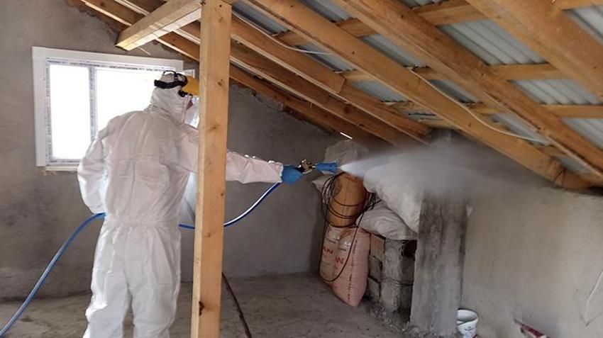 Giresun'da Kahverengi kokarcaya karşı 'topyekün' mücadele sonuç verdi: 90 bin Samuray arısı sahada! 70 bin kışlak ilaçlandı, 25 bin çiftçi eğitildi