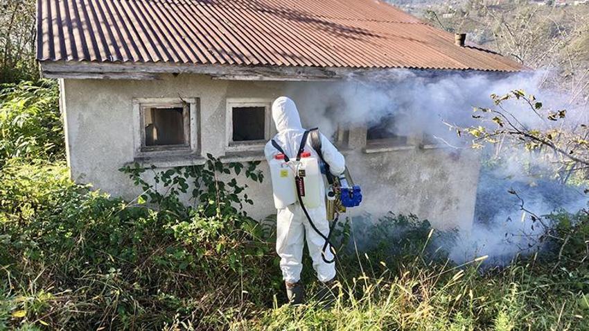 Giresun'da Kahverengi kokarcaya karşı 'topyekün' mücadele sonuç verdi: 90 bin Samuray arısı sahada! 70 bin kışlak ilaçlandı, 25 bin çiftçi eğitildi